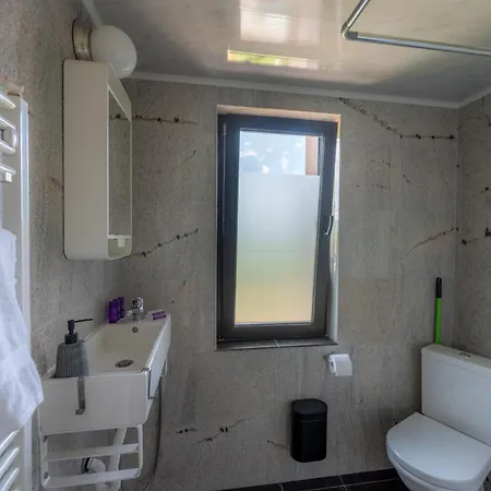 Βίλα Forest House Gyueshevo